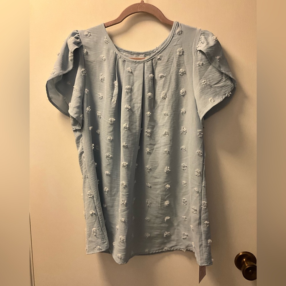 LS Swiss Dot Baby Blue Blouse Size L - Picture 3 of 10